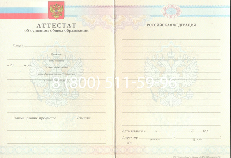 Купить Аттестат за 9 класс 2007-2010 годов в Альметьевске Купить Аттестат за 9 класс 2007-2010 годов в Альметьевске