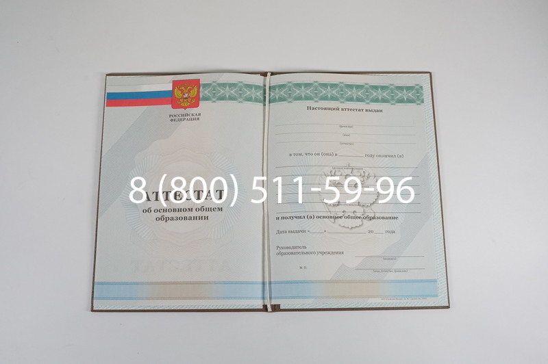 Аттестат за 9 класс 2011-2013 годов в Альметьевске