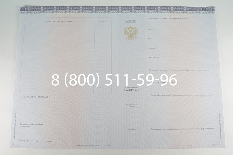 Диплом бакалавра (Киржач) 2014-2024 года в Альметьевске Диплом бакалавра (Киржач) 2014-2024 года в Альметьевске