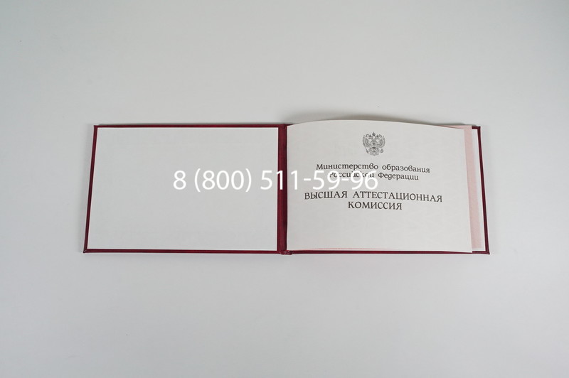 Диплом доктора наук 1995-2006 года в Альметьевске Диплом доктора наук 1995-2006 года в Альметьевске
