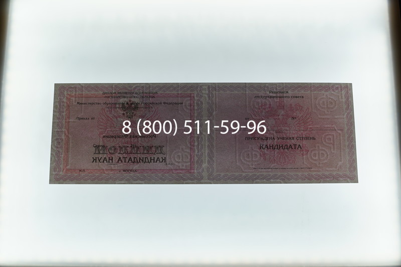 Заказать Диплом кандидата наук 2010 в Альметьевске