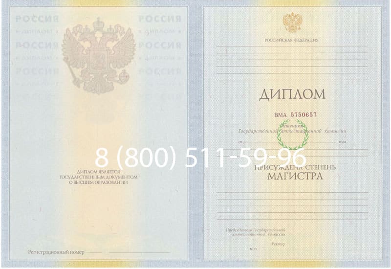 Купить Диплом магистра 2010-2011 годов в Альметьевске Купить Диплом магистра 2010-2011 годов в Альметьевске
