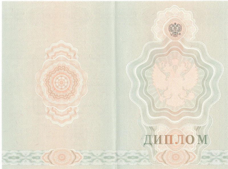 Купить Диплом о начальном образовании 2007-2009 годов в Альметьевске Купить Диплом о начальном образовании 2007-2009 годов в Альметьевске
