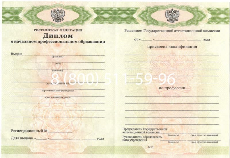 Купить Диплом о начальном образовании 2010-2024 годов в Альметьевске Купить Диплом о начальном образовании 2010-2024 годов в Альметьевске