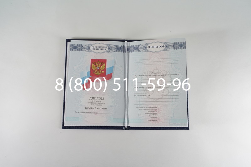 Диплом о среднем образовании 2007-2010 годов в Альметьевске Диплом о среднем образовании 2007-2010 годов в Альметьевске