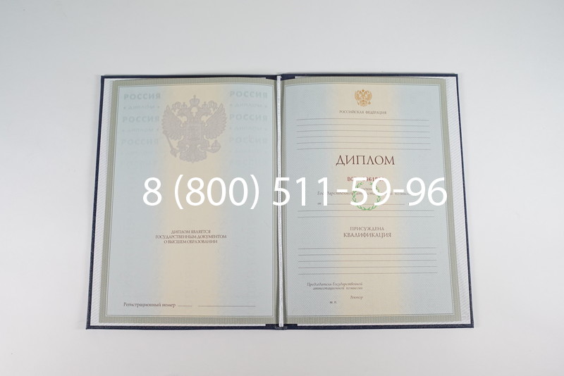 Диплом о высшем образовании 2003-2009 годов в Альметьевске Диплом о высшем образовании 2003-2009 годов в Альметьевске