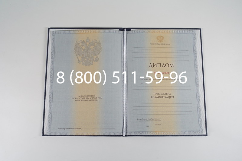 Диплом о высшем образовании 2012-2013 годов в Альметьевске Диплом о высшем образовании 2012-2013 годов в Альметьевске