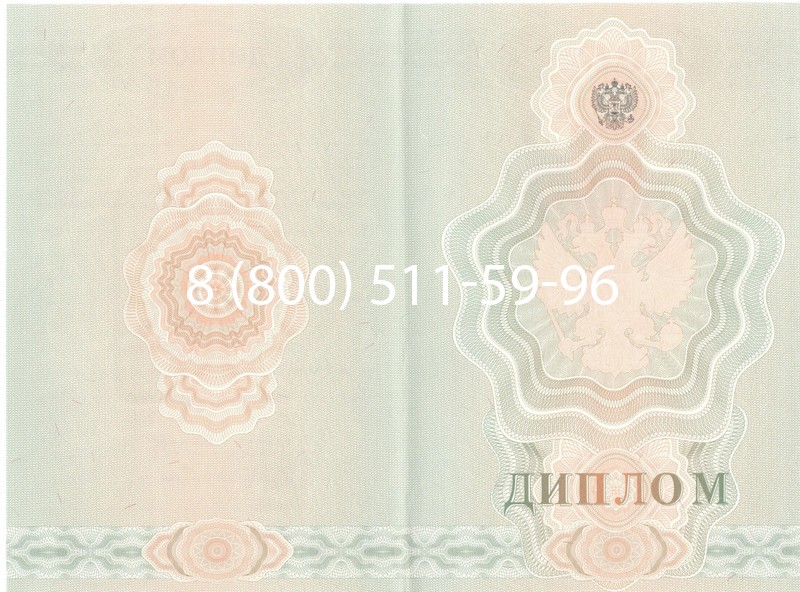 Купить Диплом ПТУ 2007-2010 годов в Альметьевске