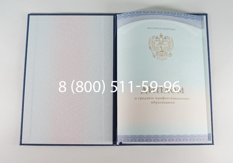 Заказать Диплом техникума (Спецбланк) 2014-2024 года в Альметьевске