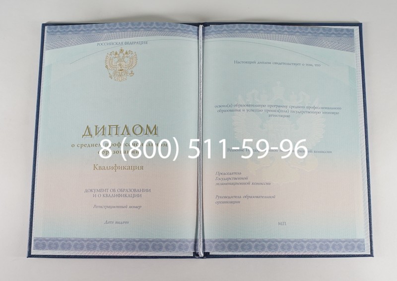 Диплом техникума (Спецбланк) 2014-2024 года в Альметьевске