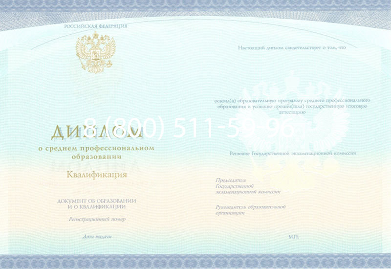 Купить Диплом техникума (Спецбланк) 2014-2024 года в Альметьевске