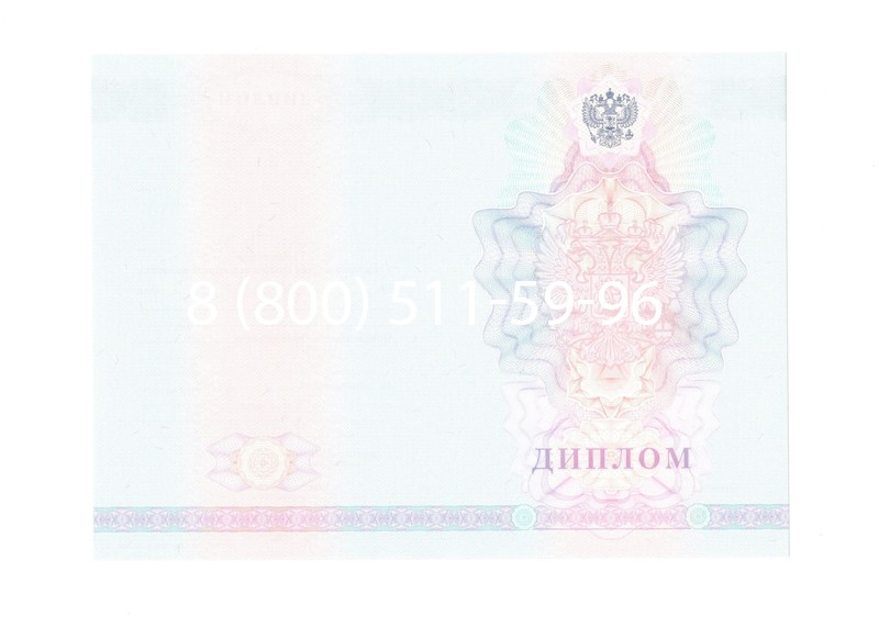 Заказать Диплом техникума 2007-2010 годов в Альметьевске Заказать Диплом техникума 2007-2010 годов в Альметьевске